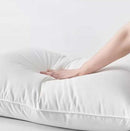 1 PAR Almohada Hotel Siliconada